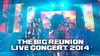 ETERNAL  STAY THE BIG REUNION LIVE CONCERT 2014 [upl. by Lorine]