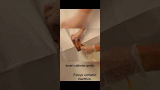 Foley Catheter Insertion bsc nursing catheter [upl. by Grannias212]