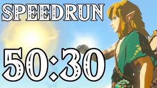 Tears of the Kingdom Any v10 Speedrun in 5030 [upl. by Eyram]