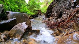 Healing Nature Sounds 🌊 Flowing Water for Inner Peace 🌼 Unwind with ASMR [upl. by Sivar]