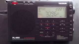 Weird Ham Band Polytones on the Shortwave Radio 17JUN13 [upl. by Ateloiv]