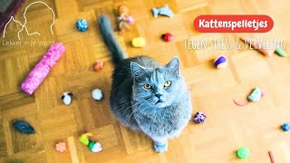 Katten spelletjes  zodat de kat zich niet verveelt [upl. by Eleets204]