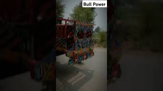 Bull Power 577 [upl. by Olwena]