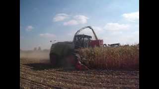 ensilage de maïs 2013 avec une ensileuse claas 940 jaguar [upl. by Ayanahs]