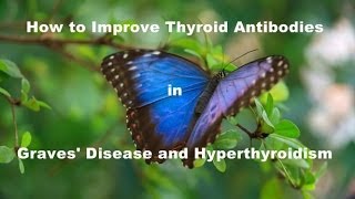 How to improve Thyroid Antibodies in Graves Disease and Hyperthyroidism [upl. by Aerdnu23]