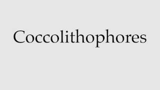 How to Pronounce Coccolithophores [upl. by Falk74]