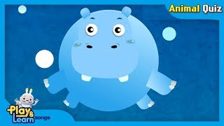 Hippo song  jjoy song  animal quiz song 17 [upl. by Ertha]