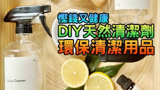 簡單DIY：天然清潔劑 助你清潔家居 健康慳錢又環保 白醋清潔妙方 [upl. by Noleta]