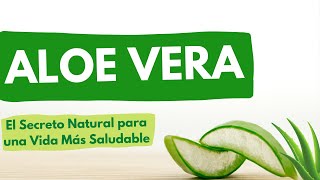 13 Beneficios de Aloe Vera [upl. by Ztnaj]