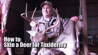 Keith Warren How To Skin A Deer For Taxidermy [upl. by Eserehs]