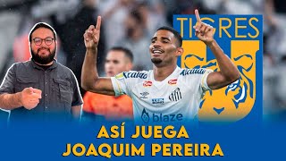 JOAQUIM es NUEVO refuerzo de TIGRES  ¿Cómo juega ¿Qué estadísticas tiene [upl. by Arua647]