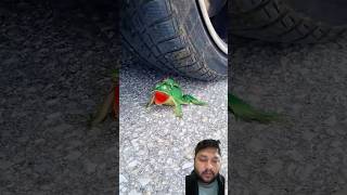 Crushing of soft and crunchy things by car tyres asmr crushing crunchy softball shorts [upl. by Cromwell]