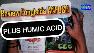 Review Fungisida ANFUSH‼Trichoderma Gliocladium  Humic Acid Pencegah Layu Fusarium [upl. by Isyak731]