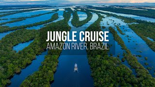 Amazon Rainforest in Brazil  Jungle Cruise on the Amazon River [upl. by Peedsaj]