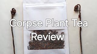 Ghost Pipe Tea Review Halloween Special ghostpipe corpseplant [upl. by Behka]