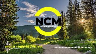 Birds in Flight  SoundTrack No Copyright Music [upl. by Novhaj]