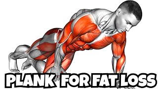 5 min Best 7 Plank Workout for Rapid Belly Fat Loss 2024 [upl. by Murage946]