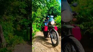 Royal Enfield Himalayan Inclined Climb With Panniers royalenfield royalenfieldhimalayan youtube [upl. by Reimer]