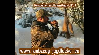 Ranzbeller mit Hasenklage von RAUBZEUG Jagdlocker [upl. by Ballou]