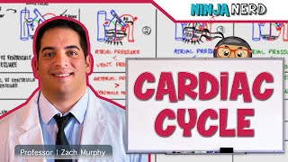 Cardiovascular  Cardiac Cycle [upl. by Franza]