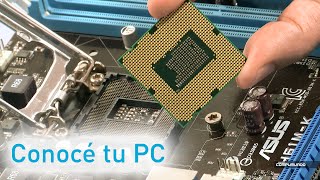 Conocé tu PC por dentro [upl. by Leroy]