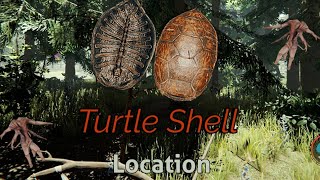 How To Get a TURTLE SHELL In The Forest 2022 [upl. by Lesli]