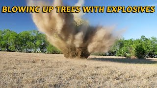 Blowing Up Trees With High Explosives Tons of Explosions [upl. by Aivato]