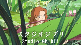 Studio Ghibli Music Relaxing Harp Hayao Miyazaki Collection  Ghibli Piano Playlist [upl. by Redneval]