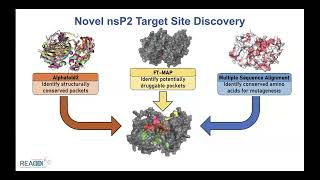 Nat Moormans 20240320 Antiviral Drug Discovery AViDD Open Science Forum Talk [upl. by Miguel]