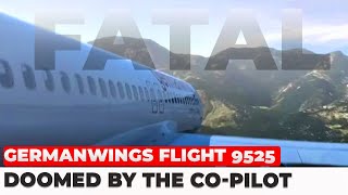 pilot suicide the Germanwings Flight 9525 true story [upl. by Okihsoy479]