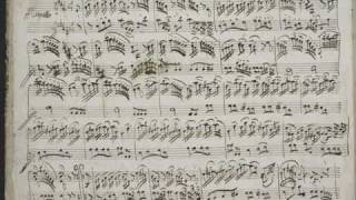 GF Handel  Suite No7 in G minor  Passacaille [upl. by Bacon553]