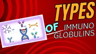 Difference Between Immunoglobulin Classes [upl. by Arinayed95]