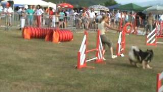 CHAPKA Eurasier manche 3 agility cat D [upl. by Henryk594]