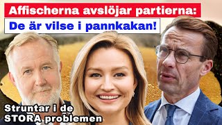 Valaffischerna avslöjar – partierna ignorerar de STORA problemen [upl. by Halli235]