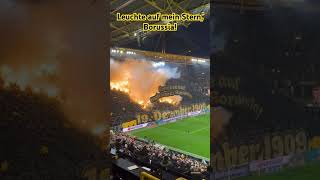 Leuchte auf mein Stern Borussia 😯 CHOREO DORTMUND ⚠️ bvb dortmund bvb09 schwarzgelb choreo [upl. by Odelinda]