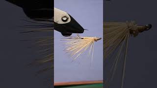 Caddis dry fly  Great attractor fly [upl. by Uyekawa]