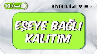 10 Sınıf Eşeye Bağlı Kalıtım Basit Konu Anlatım 2023 [upl. by Alister258]