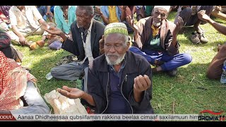 OROMIA11 Oduu Torbaanii 1142024 [upl. by Klinges144]