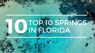 TOP 10 SPRINGS in FLORIDA  Best Florida Springs  Florida Springs  Ginnie Springs [upl. by Asserac]