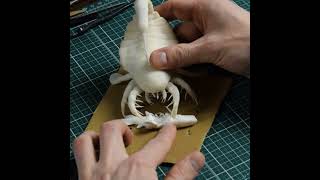 Making a Sea Scorpion Diorama shorts seascorpion diorama dinosaurdiorama [upl. by Enert]