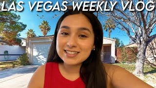 Day in the Life of a Las Vegas Real Estate Agent [upl. by Savage270]