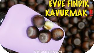 EVDE FINDIK KAVURMA  BÖYLE KOLAY TARİF YOKK  Denizle Bir Öğün [upl. by Kashden]