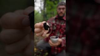 The Secret Fire Starter That Works Like Magic 🪄 solocamping survivalskills bushcraft [upl. by Elaweda]