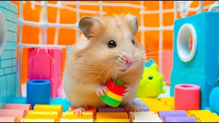 Hamster Used Its Small Advantage to Escape the Maze 🐹 Hamster Maze [upl. by Jeremias748]