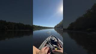 Attacked the whopper plopper fishing minnesota kayakfishing northernpike fishinglife fishtok [upl. by Jaime707]