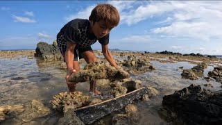 Panghuhuli ng Octopus sa Hibasan Gamit ang Trap na to Catch amp Cook [upl. by Nelhsa]