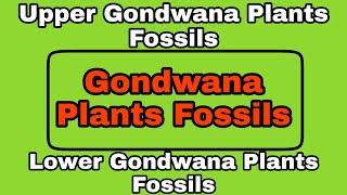 Gondwana Plants Fossils  Upper Gondwana Plants Fossils  Lower Gondwana Plants Fossils [upl. by Ahsenwahs989]