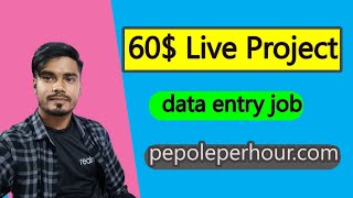 ৬০ডলারের লাইভ ফ্রিল্যান্সিং কাজ data entry live project [upl. by Oilerua]