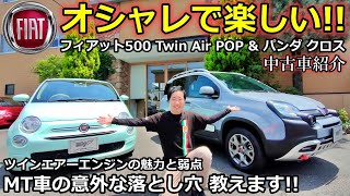 【フィアット】フィアット500 Twin Air POP amp パンダ クロス 中古車紹介！ ツインエアーエンジンの魅力と弱点とは？ 【ウイングオート】 [upl. by Moazami]