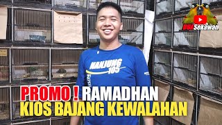 PROMO  KACERMURAI PALANGKASRDCKENARIJENGGOT JAWACILILIN COKLAT KIOS SIGIT BAJANG PB PRAMUKA [upl. by Neelahtak668]